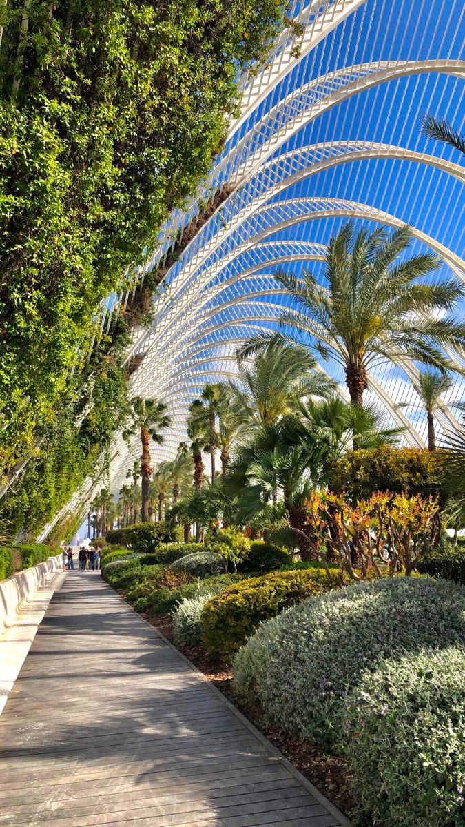 the walkway is lined with plants and trees