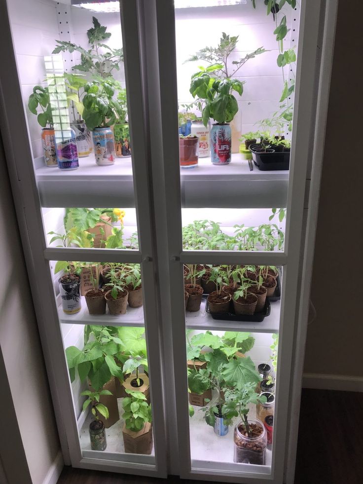 a refrigerator filled with lots of plants inside of it