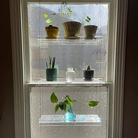 three shelves filled with plants in front of a window