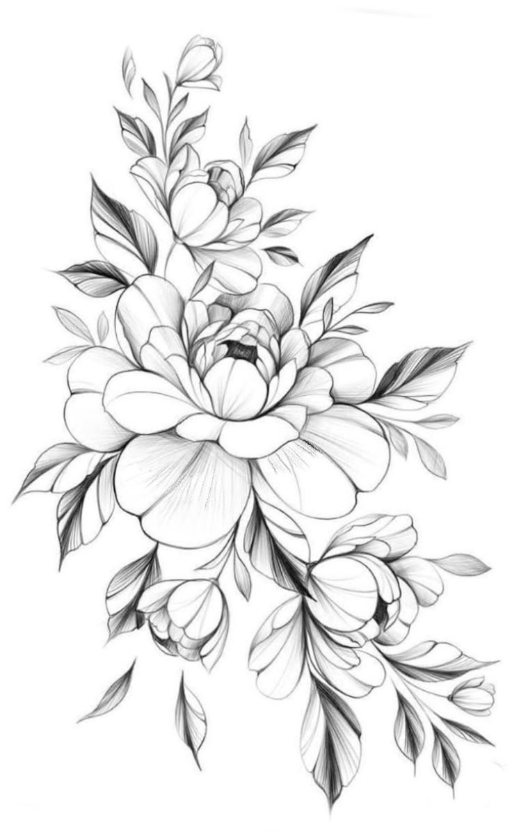 a black and white drawing of flowers with leaves on the bottom half of their petals