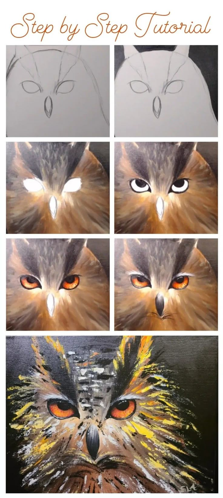 step by step instructions on how to draw an owl's face with acrylic paint