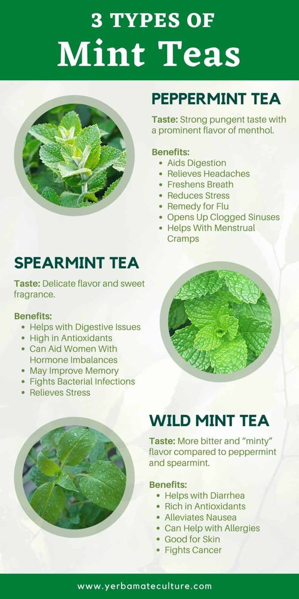 the three types of mint teas are shown in this graphic above it's description