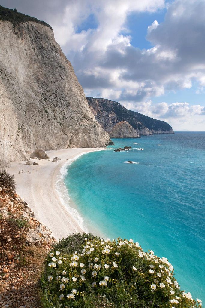 the beach has white flowers growing out of it's sand and blue ocean water