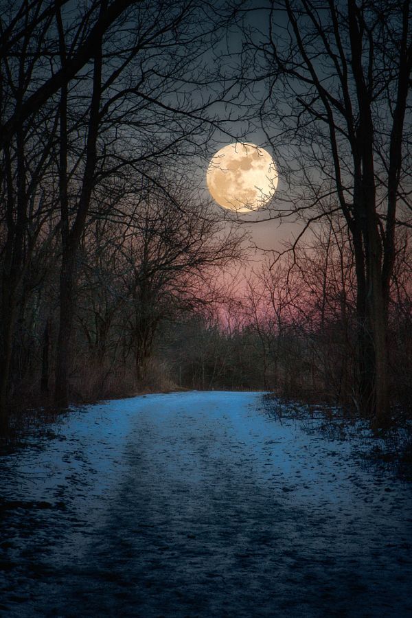 a full moon is seen over a snowy road in the distance, with bare trees and snow - covered ground