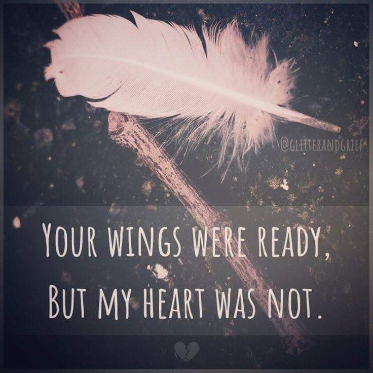 a white feather resting on top of a piece of paper that says, your wings were ready but my heart was not