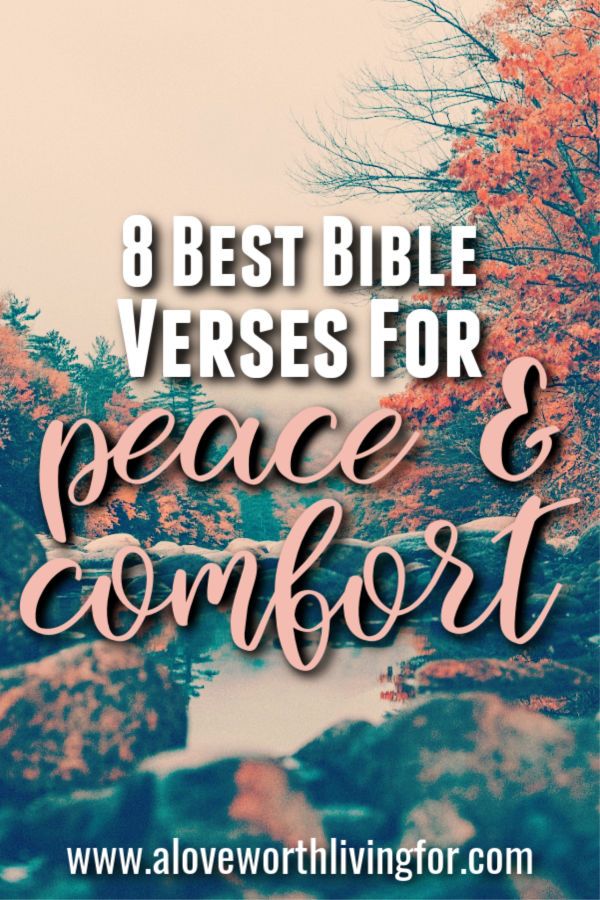 the words, 8 best bible verses for peace and comfort in front of trees