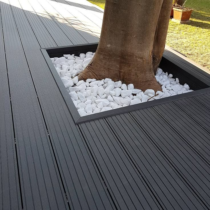 a large tree sitting on top of a wooden deck