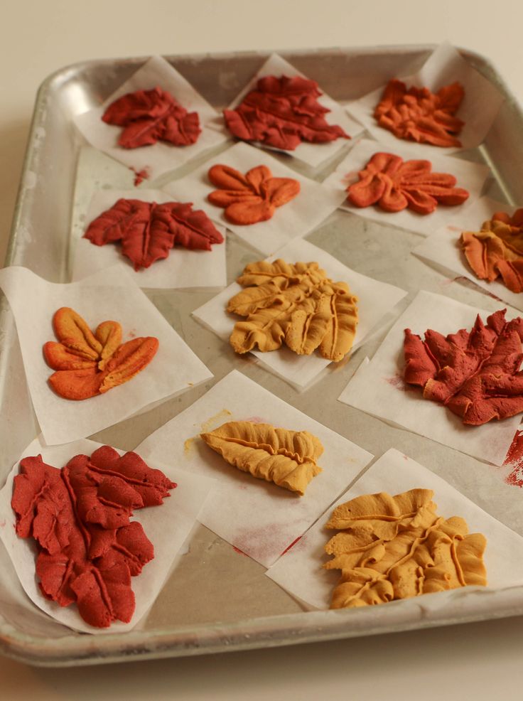 some leaves are laying on paper towels in a baking pan, ready to go into the oven