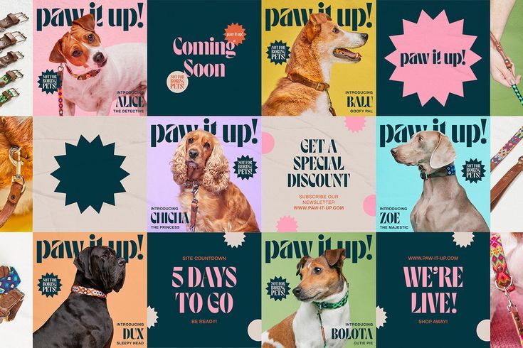 many different dogs are featured in this collage with the words paws to go on them