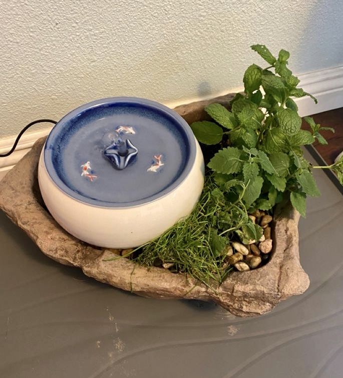 a bowl with plants in it sitting on top of a rock