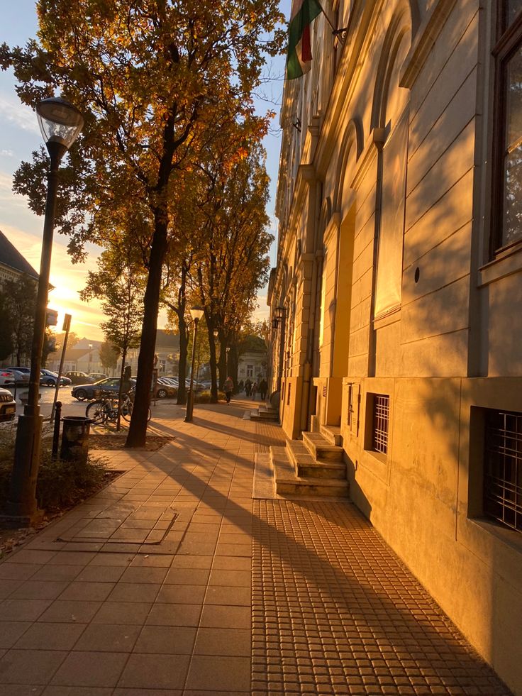 the sun shines on an empty sidewalk in front of a row of buildings and trees