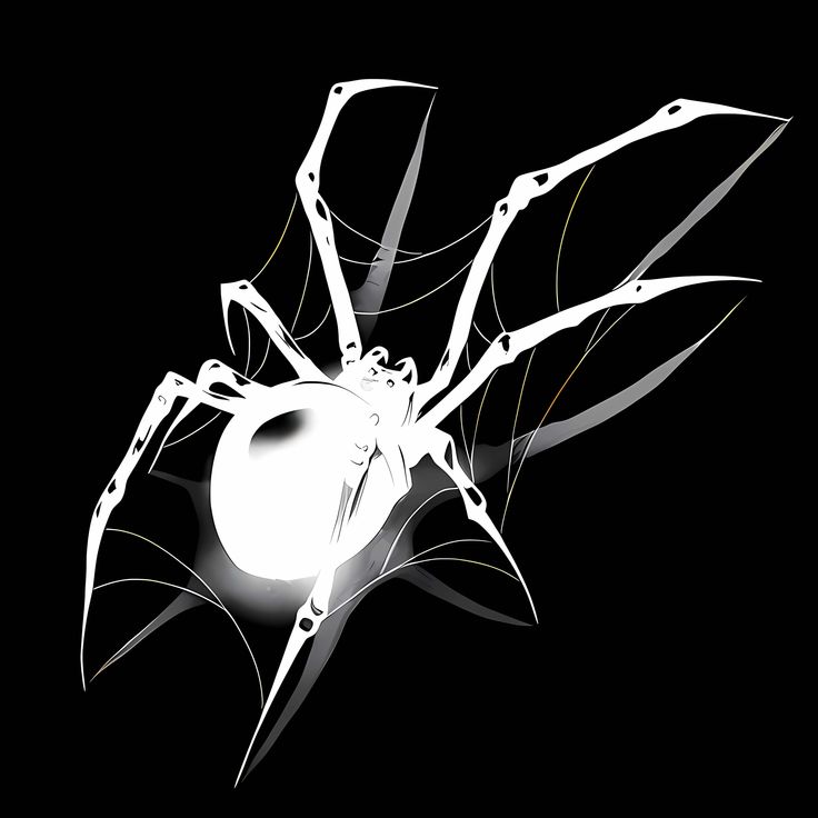 a white spider sitting on top of a black background