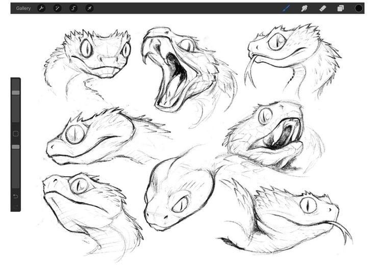 an image of some animals that are drawn in pencil on the computer screen, and it looks like they have their mouths open