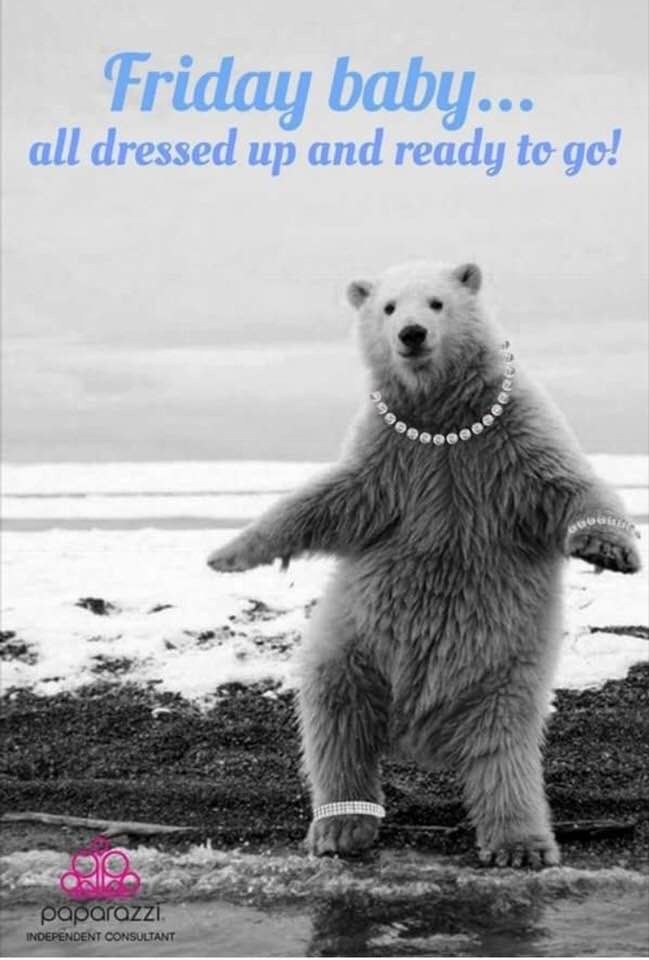 a polar bear standing on its hind legs with the caption friday baby all dressed up and ready to go