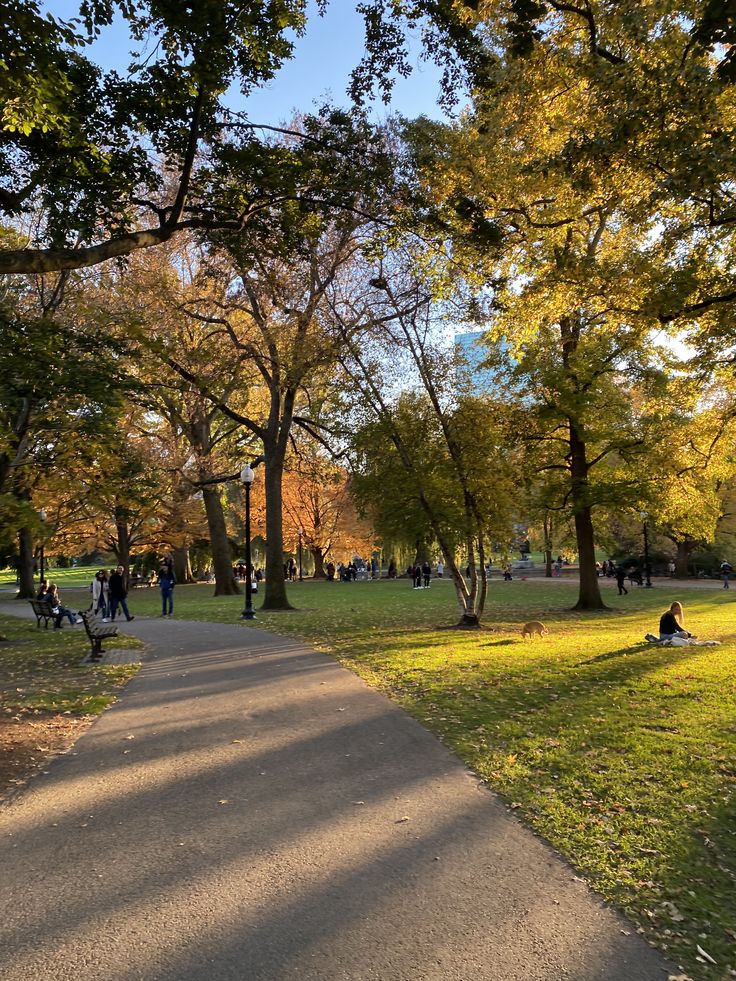 people are sitting and walking in the park on a sunny day with trees lining the path