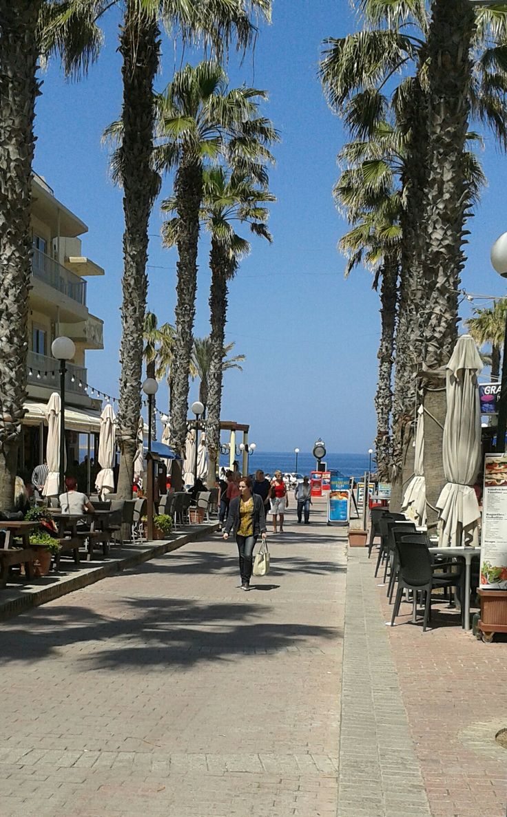 people walking down the sidewalk near some palm trees