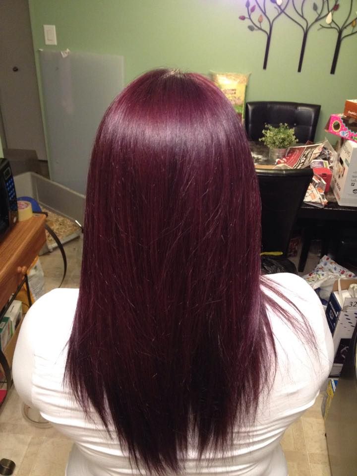 Boysenberry Hair Color, Global Grape Hair, Light Plum Hair, Purple Cherry Hair, Redish Purplish Hair, Plum Red Hair Color, Wine Purple Hair, Dark Purple Red Hair, Plum Colored Hair