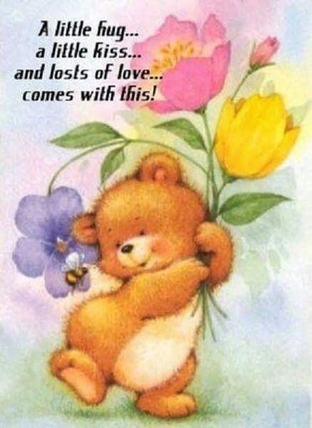 a teddy bear holding flowers with the caption'a little hug, a little kiss and lots of love comes with this