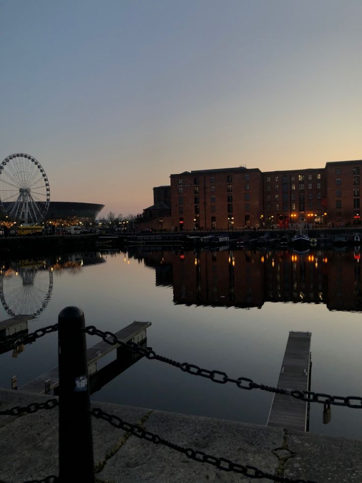 a ferris wheel sitting next to a body of water at night with buildings in the background