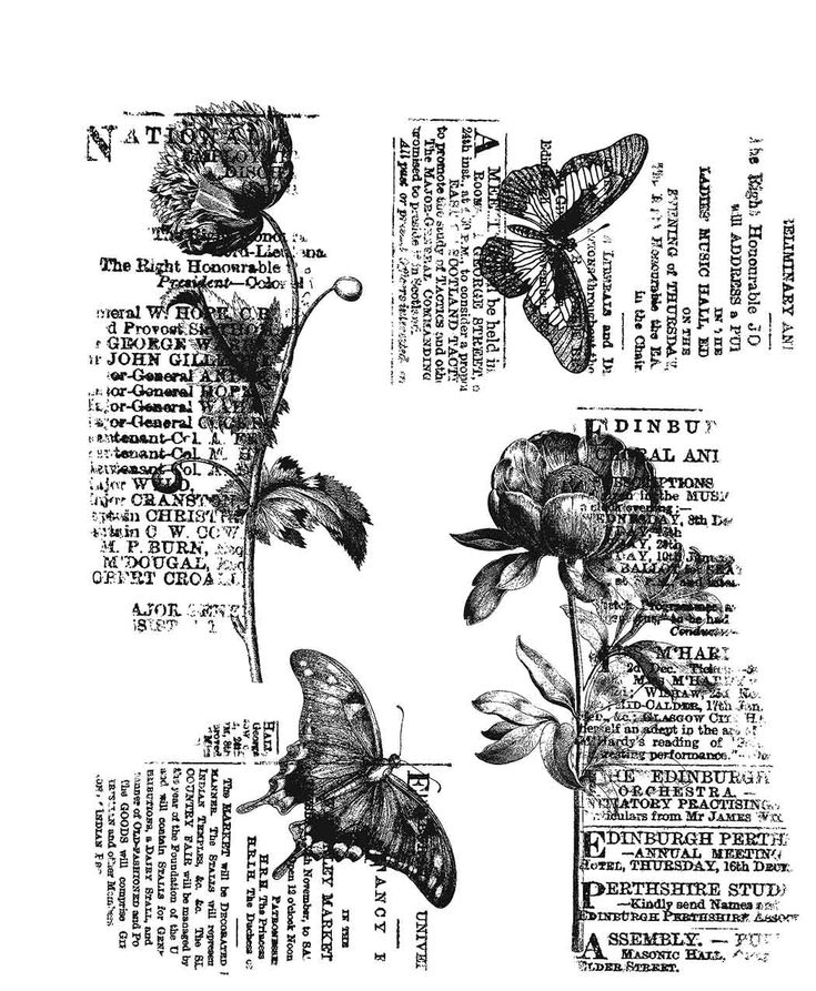 some flowers and butterflies are on top of an old book page with words in it