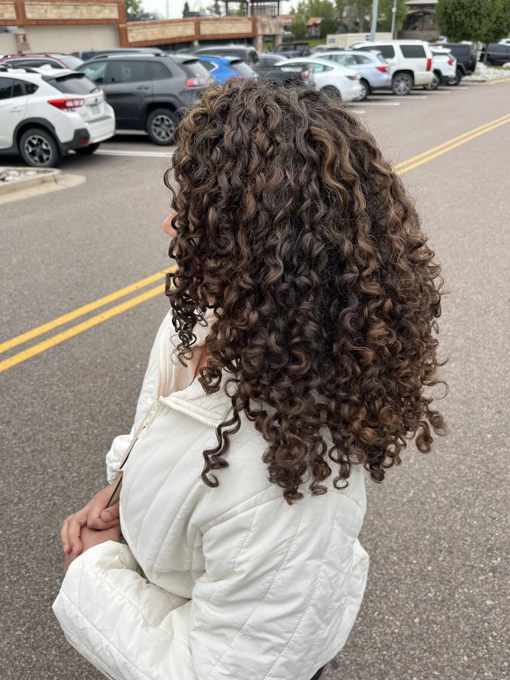 Naturally Curly Hair Aesthetic, Dark Brown Hair With Highlights On Curly Hair, Curly Hairstyles Brown Hair, Lowlights For Black Hair Curly, Long Dark Brown Hair Curly, Thick 3b Hair, Dark Naturally Curly Hair, Highlights On Curly Dark Hair, Deep Brown Curly Hair