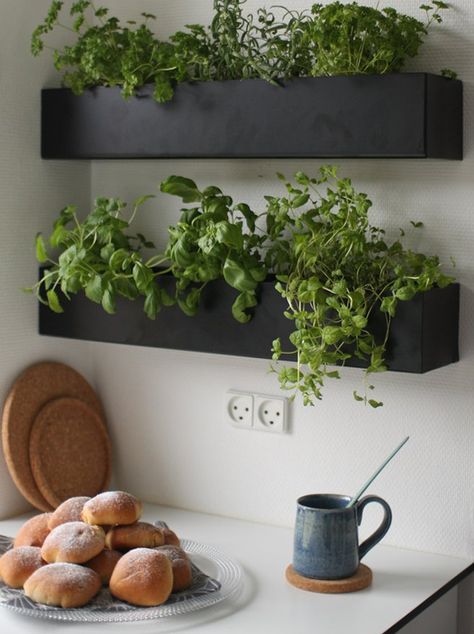 two black wall mounted planters with plants in them and doughnuts on a plate