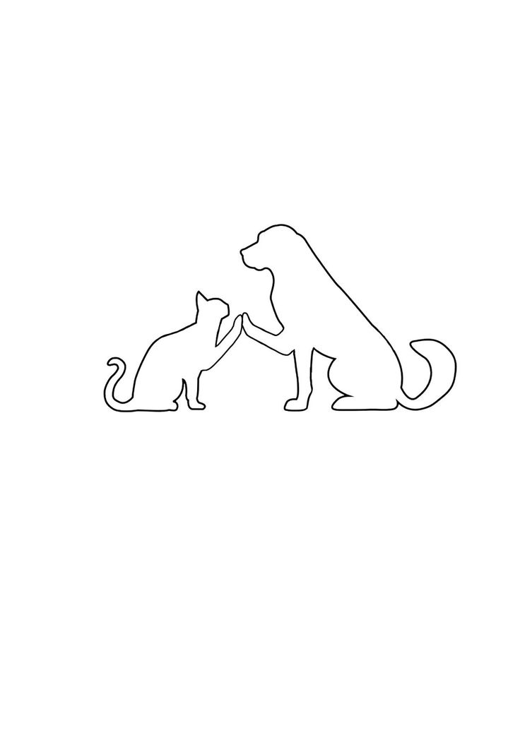 two cats and a dog are playing with each other in the same line on a white background