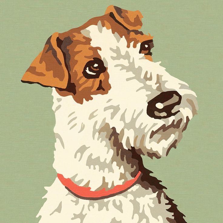 a brown and white dog with a red collar looking off into the distance on a green background