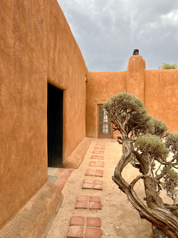 a small tree in front of an adobe building