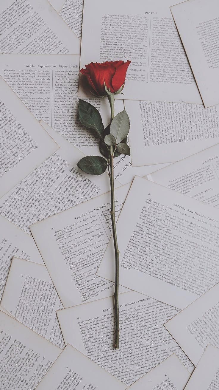 a single red rose sitting on top of an open book with pages scattered around it