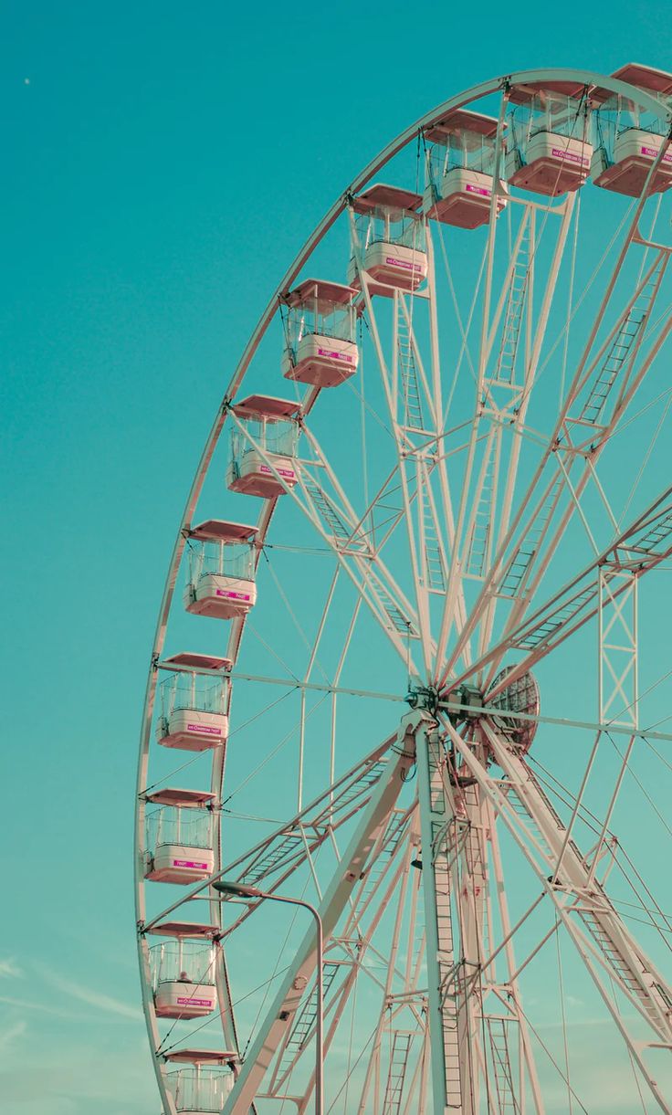 a large ferris wheel sitting on top of a lush green field