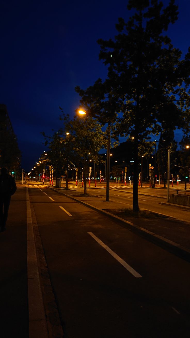 an empty city street at night with lights on and trees lining the sides of the road