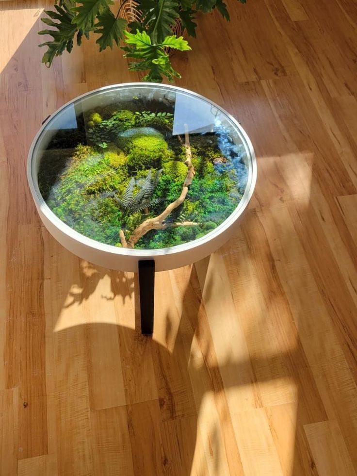 a glass table with plants on it in the middle of a wood floored room