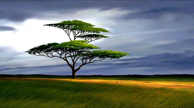 a television screen with a painting of a tree on it's side and blue sky in the background