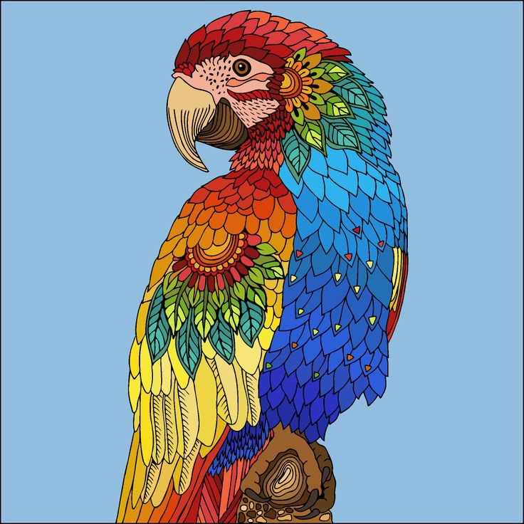 a brightly colored parrot sitting on top of a tree branch in front of a blue sky