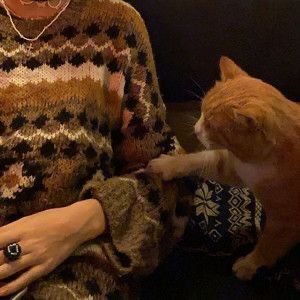 an older woman sitting on a couch petting a cat with her hand in her lap