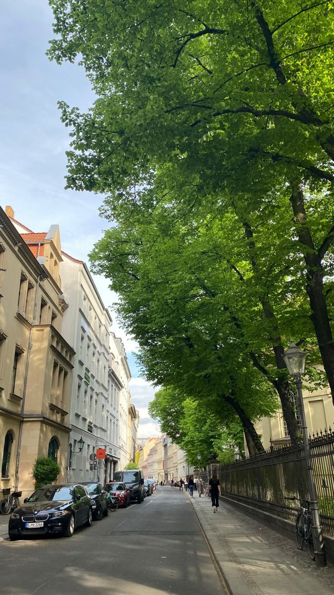 a street lined with parked cars next to tall buildings and trees on either side of the road