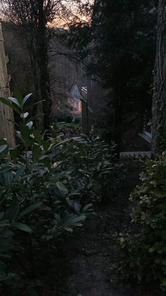 an alley way with trees and bushes on both sides at night, in front of a house