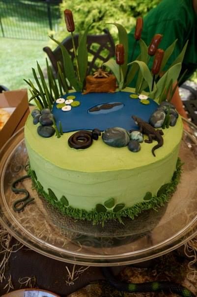 a cake decorated with grass and rocks on a table in front of some other items