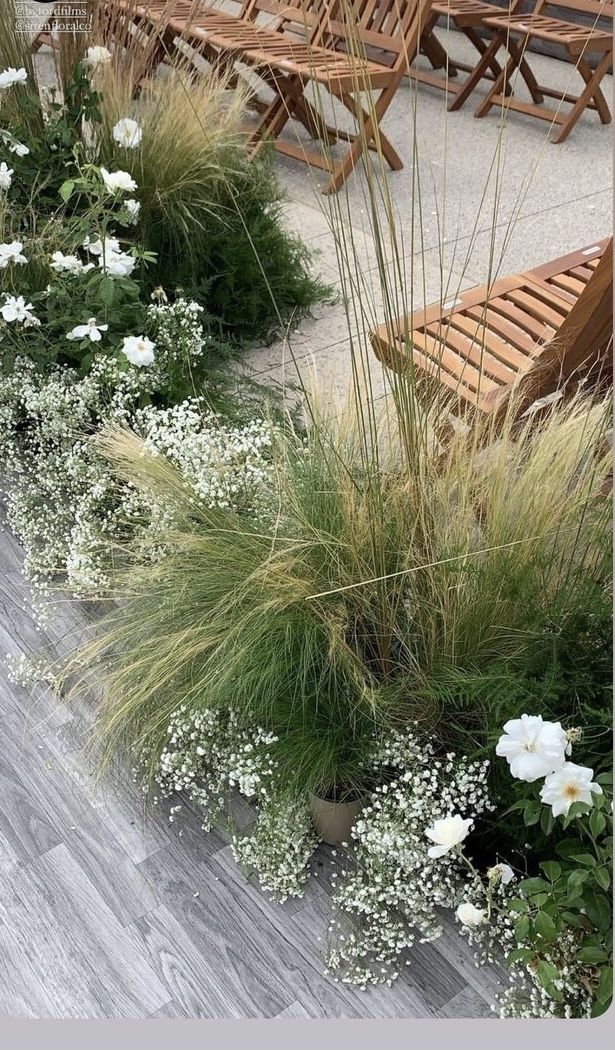 some white flowers grass and wooden benches