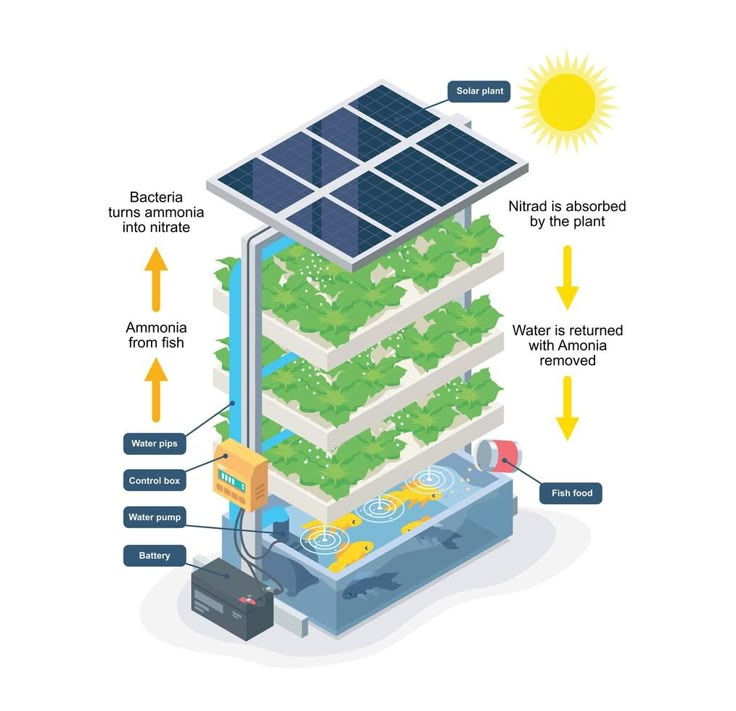 an info board showing the benefits of solar energy