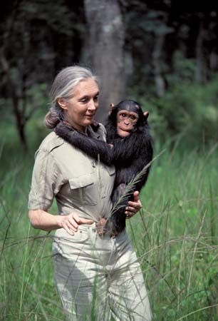 a woman holding a chimpan on her back in tall grass with trees in the background