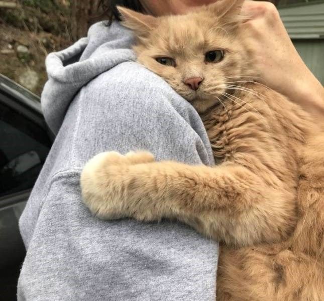 a woman holding a cat in her arms while standing next to a parked car and looking at the camera