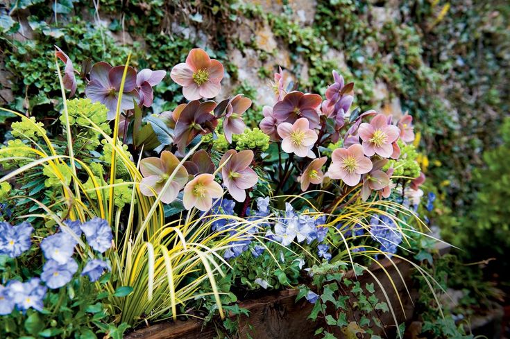 an assortment of flowers are in a wooden planter on the side of a wall