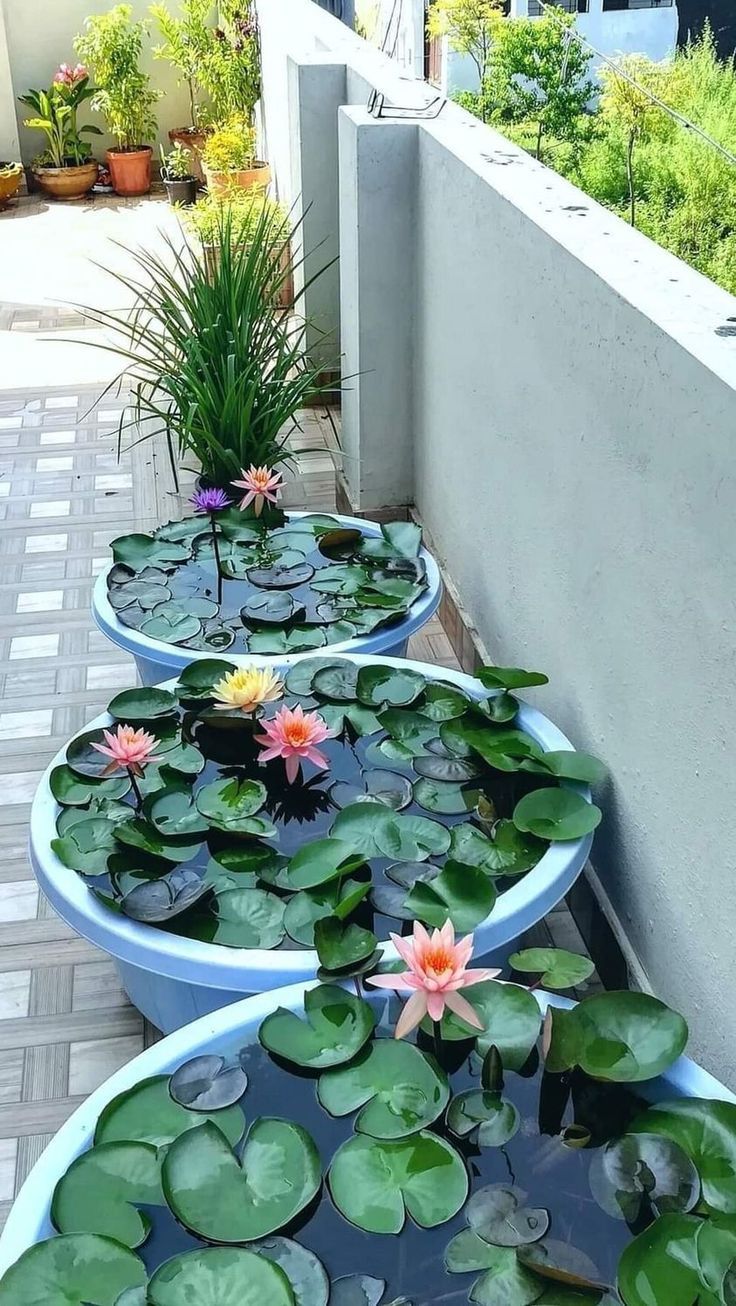 three planters filled with water lilies sitting on the side of a building