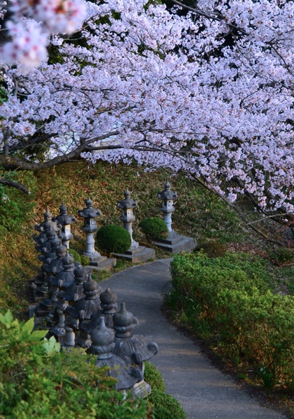 there are many statues on the side of this path next to some trees with purple flowers