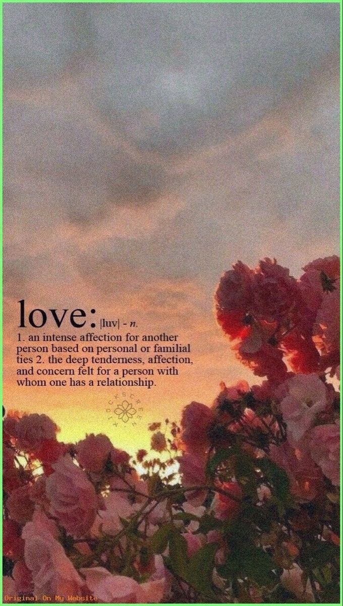 an image of flowers with the words love written on it in front of a sunset