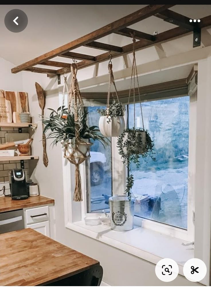 a kitchen window with potted plants hanging from it