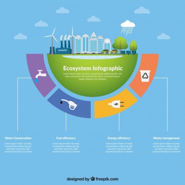 an info board showing the different types of eco - friendly products and how to use them