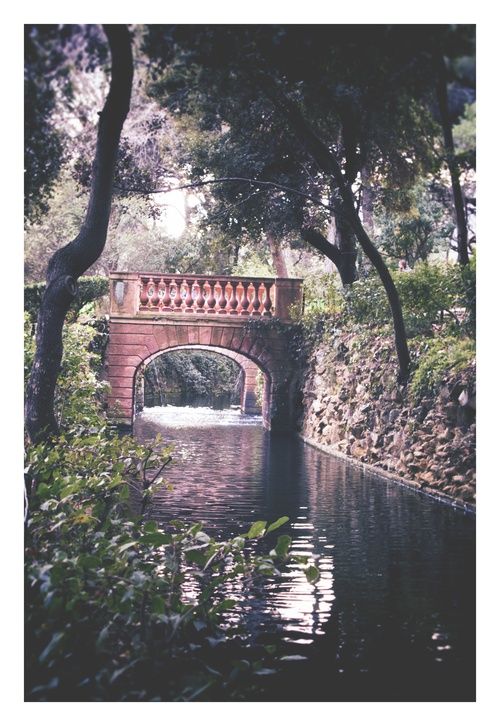 a bridge over a body of water surrounded by trees